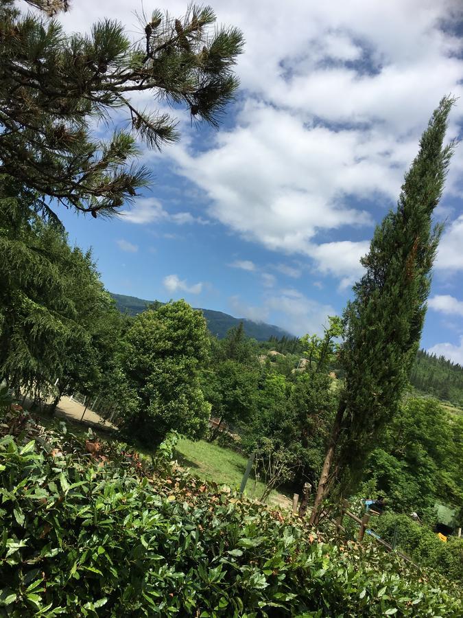 Tenuta Dei Cavalieri Molino del Piano Exterior foto